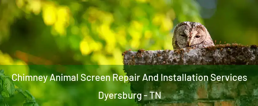  Chimney Animal Screen Repair And Installation Services Dyersburg - TN
