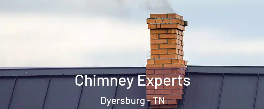 Chimney Experts Dyersburg - TN