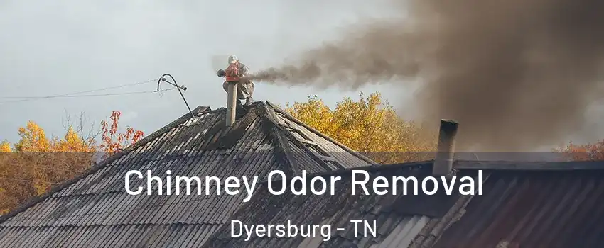  Chimney Odor Removal Dyersburg - TN