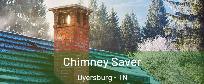  Chimney Saver Dyersburg - TN