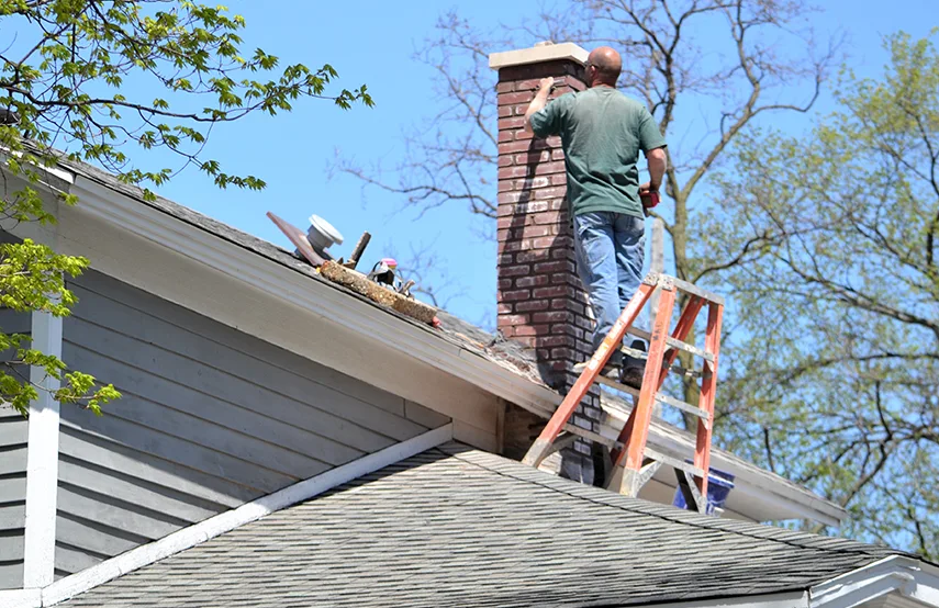 Chimney & Fireplace Inspections Services in Dyersburg, TN