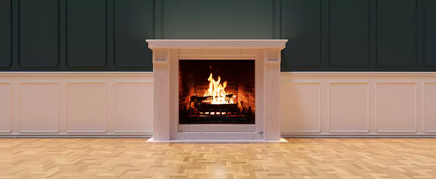 Napoleon Electric Fireplaces Inspection Service in Dyersburg, Tennessee