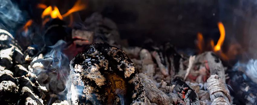 Creosote Removal Experts in Dyersburg, TN