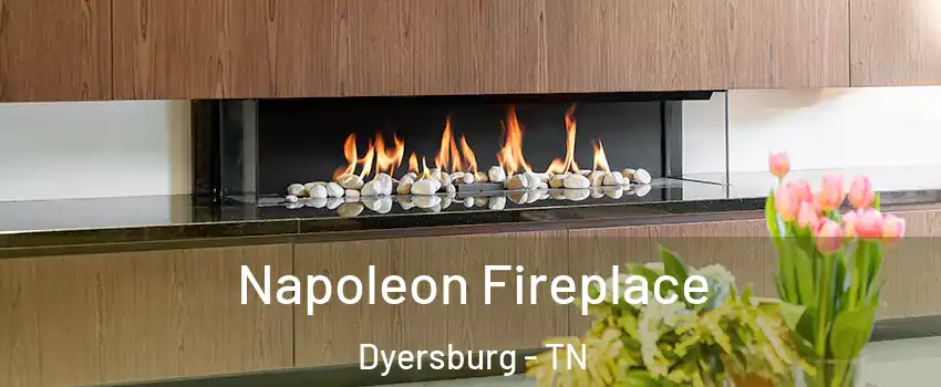  Napoleon Fireplace Dyersburg - TN
